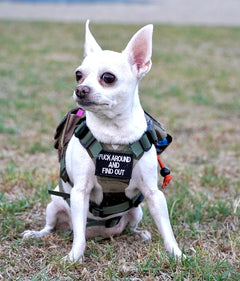 Find Out - Mini Morale Patch