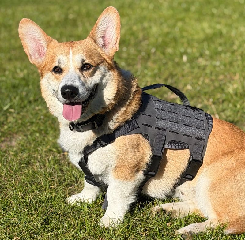 K9R - M4 Tactical MOLLE Vest