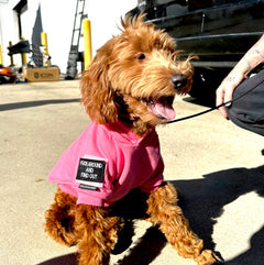 Find Out - Mini Morale Patch